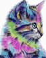 Maalid numbrite järgi TM TSVETNOY Värvikas kassipoeg, 40x50 cm hind ja info | Maalid numbri järgi | kaup24.ee