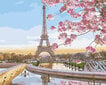 Maalid numbrite järgi TM TSVETNOY Pariis õitseb, 40x50 cm hind ja info | Maalid numbri järgi | kaup24.ee