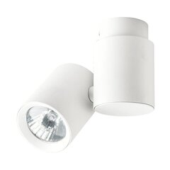 Light Prestige потолочный светильник Boston 1 White цена и информация | Потолочные светильники | kaup24.ee