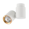 Light Prestige laevalgusti Boston 1 White/Gold