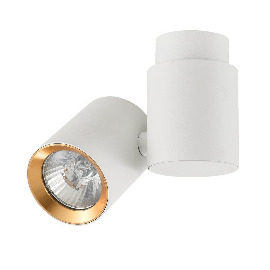 Light Prestige laevalgusti Boston 1 White/Gold цена и информация | Laelambid | kaup24.ee