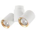 Light Prestige laevalgusti Boston 2 White/Gold