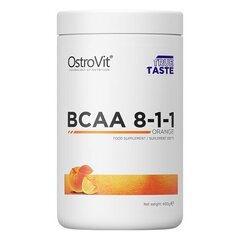 Toidulisand - Aminohapped OstroVit BCAA 8-1-1 (400 g) цена и информация | Аминокислоты | kaup24.ee