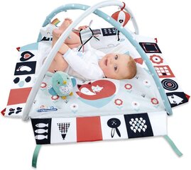 Tegelustekk Clementoni baby Black&White, 17319 hind ja info | Tegelustekid | kaup24.ee