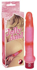 Jelly Anal, anaalvibraator hind ja info | Vibraatorid | kaup24.ee