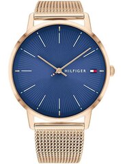 Tommy Hilfiger женские часы 1782246, золото/синий цена и информация | Женские часы | kaup24.ee