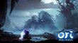 Ori and The Will Of The Wisps Nintendo Switch hind ja info | Arvutimängud, konsoolimängud | kaup24.ee