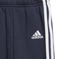 Spordikostüüm Adidas I Logo Jog Fl1, sinine/roosa цена и информация | Komplektid poistele | kaup24.ee