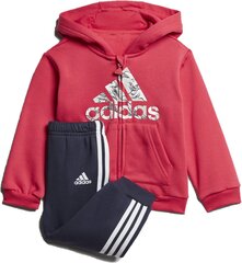 Spordikostüüm Adidas I Logo Jog Fl1, sinine/roosa hind ja info | Komplektid poistele | kaup24.ee