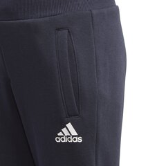 Spordikostüüm Adidas Lk Fz Hdy Set, sinine/roosa hind ja info | Adidas Tüdrukute riided | kaup24.ee