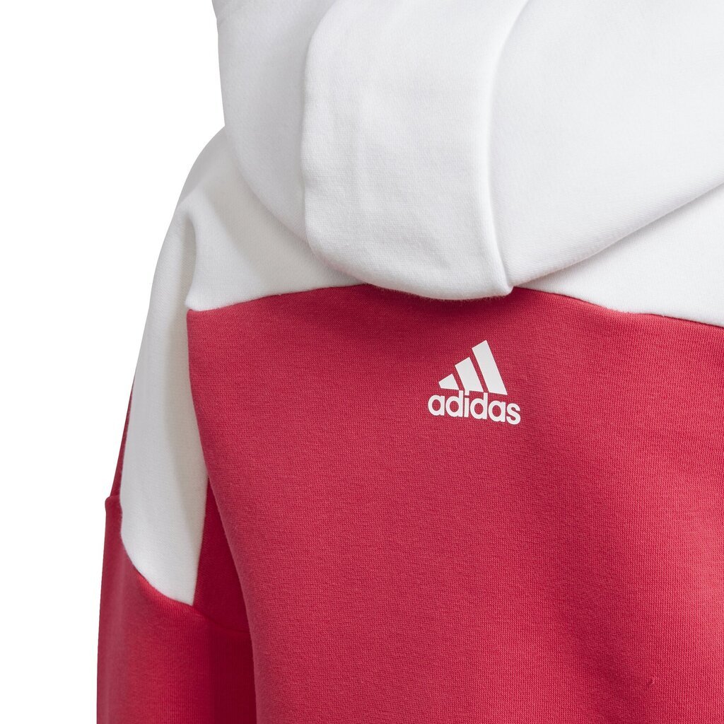 Spordikostüüm Adidas Lk Fz Hdy Set, sinine/roosa hind ja info | Komplektid tüdrukutele | kaup24.ee