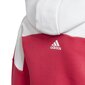 Spordikostüüm Adidas Lk Fz Hdy Set, sinine/roosa цена и информация | Komplektid tüdrukutele | kaup24.ee