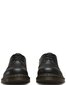 Meeste kingad Dr Martens 1461 30502, mustad hind ja info | Meeste kingad, saapad | kaup24.ee