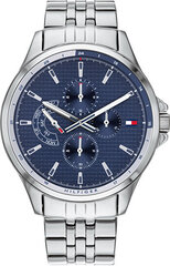 Tommy Hilfiger мужские часы 1791612, серебристый цвет цена и информация | Мужские часы | kaup24.ee