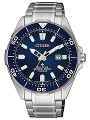 Мужские часы Citizen_BN0201-88L цена и информация | Мужские часы | kaup24.ee