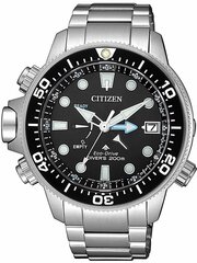 Мужские часы Citizen_BN2031-85E цена и информация | Мужские часы | kaup24.ee