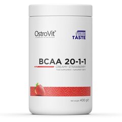 Аминокислоты OstroVit BCAA 20-1-1 Клубника, 400 г цена и информация | Аминокислоты | kaup24.ee