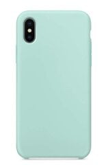 Чехол Liquid Silicone 1.5 мм для Apple iPhone 11, цвет мяты цена и информация | Чехлы для телефонов | kaup24.ee