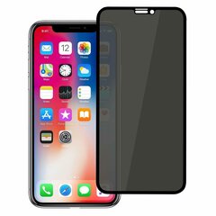 LCD kaitsev karastatud klaas Full Privacy Apple iPhone XR/11, must цена и информация | Защитные пленки для телефонов | kaup24.ee
