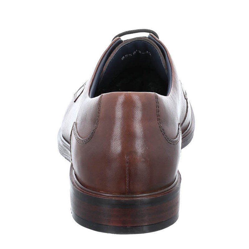 Klassikalised pruuni värvi nahast meeste kingad, suured suurused Josef Seibel цена и информация | Meeste kingad, saapad | kaup24.ee