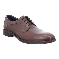 Классические коричневые мужские туфли большого размера Josef Seibel цена и информация | Мужские ботинки | kaup24.ee