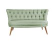 Diivan Artie Richland Loveseat, roheline hind ja info | Diivanid ja diivanvoodid | kaup24.ee