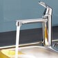 Köögisegisti Grohe Eurosmart Cosmopolitan, 30193000 цена и информация | Vannitoa segistid | kaup24.ee