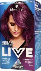 Juuksevärv Schwarzkopf Live Urban Metallics, U69 Amethyst Chrome hind ja info | Juuksevärvid | kaup24.ee