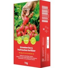 Удобрение для клубники и плодовых кустов, 4 кг цена и информация | Agronom Товары для сада | kaup24.ee
