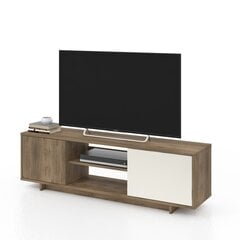 ТВ столик Garbatella, коричневый/белый цена и информация |  Тумбы под телевизор | kaup24.ee