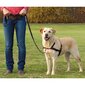 Traksid koerale Trixie Lead Walk Soft, L-XL, 65-105cm hind ja info | Kaelarihmad ja traksid koertele | kaup24.ee
