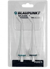 Blaupunkt ACC035 hind ja info | Elektriliste hambaharjade otsikud | kaup24.ee