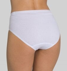 Naiste aluspüksid Triumph Katia Basics Tai, valge цена и информация | Трусики | kaup24.ee
