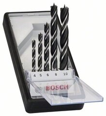 Bosch puidupuuri otsikute komplekt 6 8 10 4 5mm (2607010527) цена и информация | Механические инструменты | kaup24.ee
