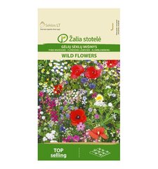 Lillesegu Wild Flowers Žalia stotelė 10,0 g цена и информация | Семена цветов | kaup24.ee