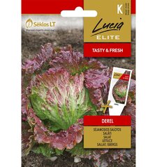 Salat Derel Lucia Elite 1,0 g hind ja info | Köögivilja-, marjaseemned | kaup24.ee