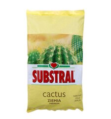 Kaktuse krunt Substral 3 l hind ja info | Substral Aiakaubad | kaup24.ee