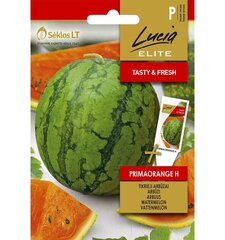 Arbuus Primaorange H Lucia Elite 1,0 g цена и информация | Семена овощей, ягод | kaup24.ee
