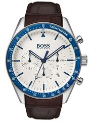 Часы Hugo Boss цена и информация | Мужские часы | kaup24.ee