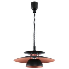 Eglo подвесной светильник Brenda 31666 цена и информация | Потолочный светильник, 38 x 38 x 24 см | kaup24.ee