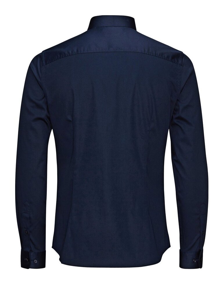 Meeste särk Jjprparma Shirt L/S 12097662 цена и информация | Meeste särgid ja triiksärgid | kaup24.ee