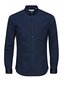 Meeste särk Jjprparma Shirt L/S 12097662 цена и информация | Meeste särgid ja triiksärgid | kaup24.ee