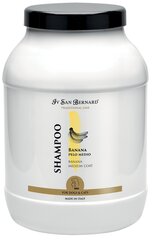 Šampoon IV SAN BERNARD Traditional Line Banana 3000ml hind ja info | Karvahooldustooted loomadele | kaup24.ee