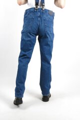 Meeste teksad BLK Jeans, sinine цена и информация | Мужские джинсы | kaup24.ee