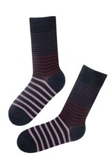 Мужские стильные хлопковые носки черного цвета с полосками William цена и информация | Meeste sokid | kaup24.ee