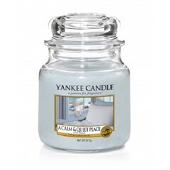 Ароматическая свеча Yankee Candle A Calm Quiet place 411 г цена и информация | Подсвечники, свечи | kaup24.ee