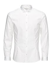 Särk meestele Jack&Jones Jjprparma Shirt L/S 12097662 цена и информация | Мужские рубашки | kaup24.ee