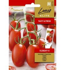 Söödavad tomatid Floridity H Lucia Elite 10 s цена и информация | Семена овощей, ягод | kaup24.ee