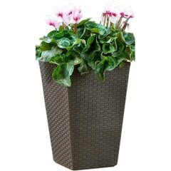 Lillepott Keter Rattan Planter, S, pruun цена и информация | Вазоны | kaup24.ee