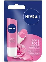 Huulepalsam Nivea Soft Rose, 4.8g hind ja info | Huulepulgad, -läiked, -palsamid, vaseliin | kaup24.ee